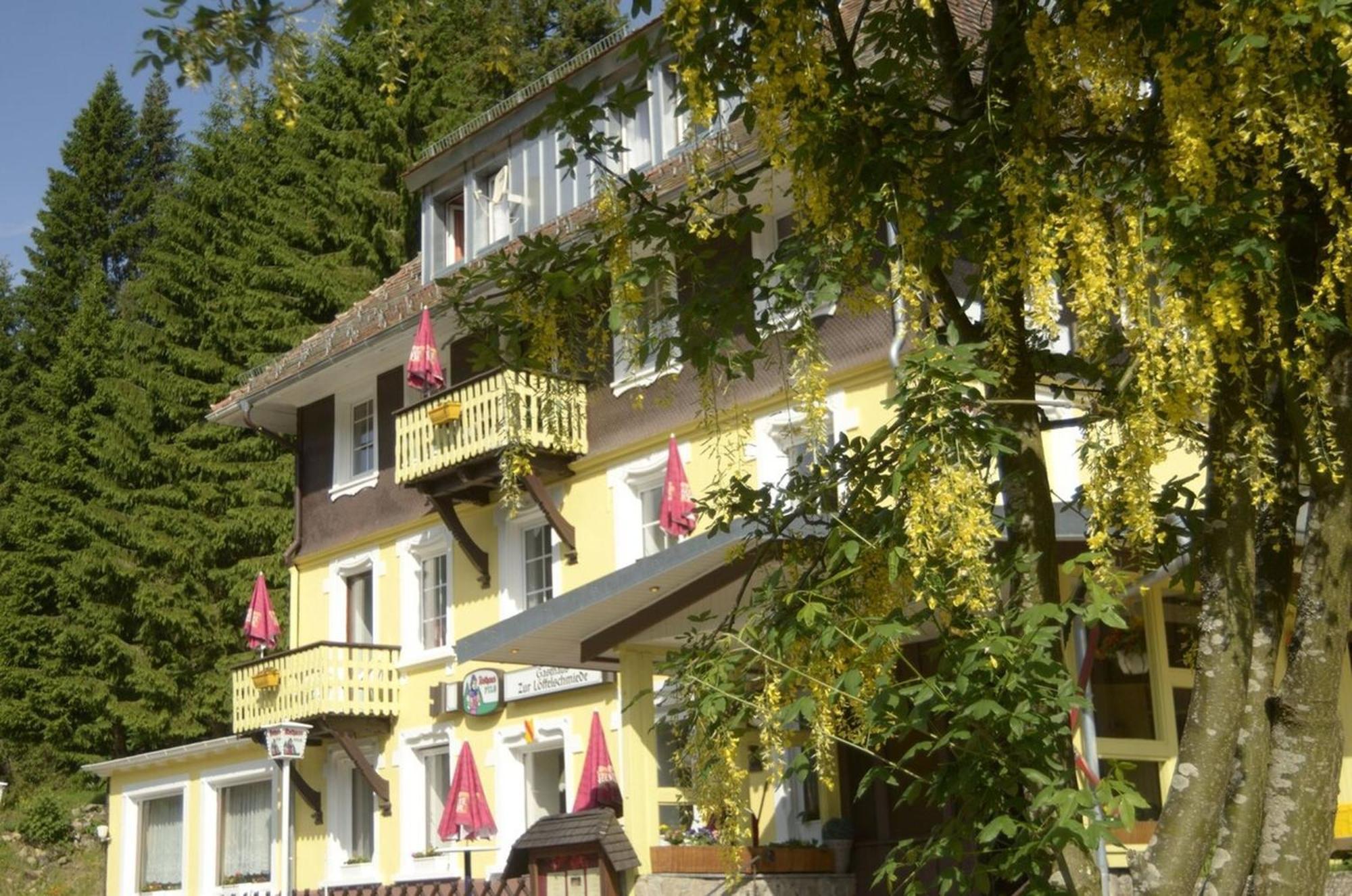 Gasthaus Hotel Loeffelschmiede フェルトベルク エクステリア 写真